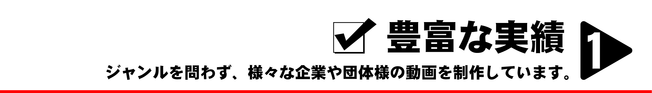 豊富な実績